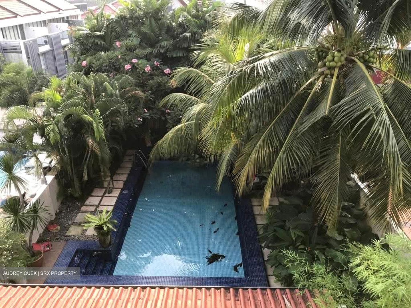 Jalan Lateh (D13), Semi-Detached #553707831